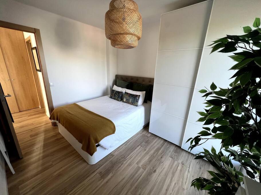 Penthouse Terraco De Coimbra Apartment Exterior photo